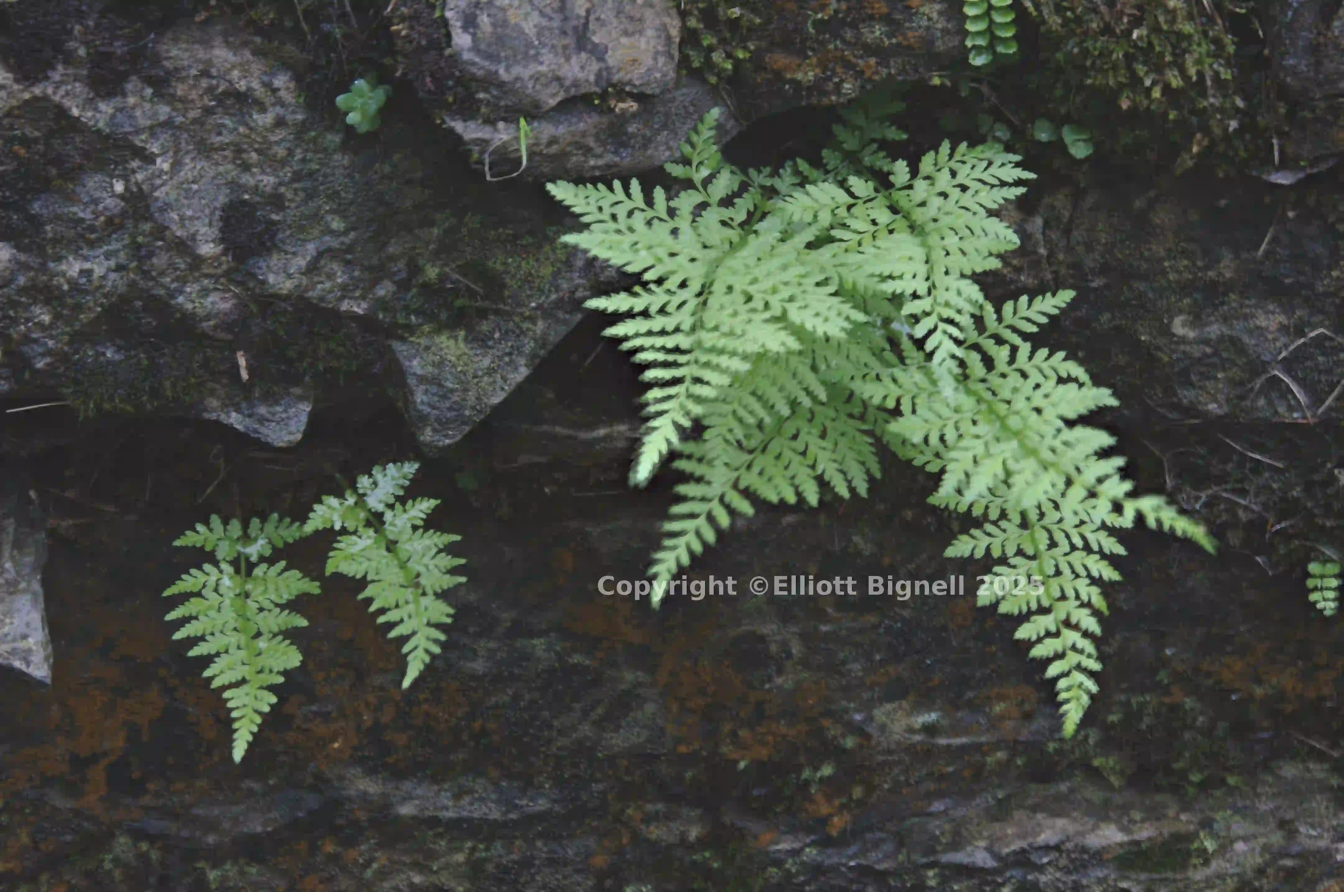 2013-10-31-19.31.43 ZS PMax.jpg